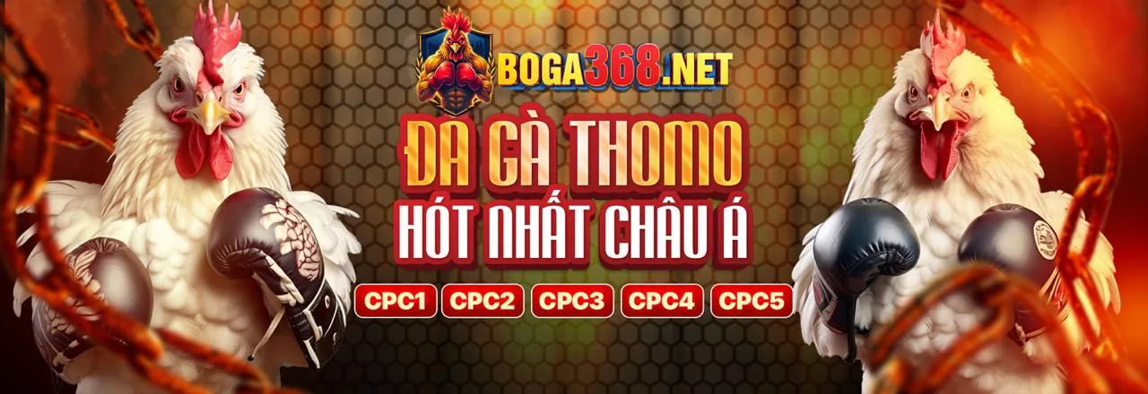 Tìm kiếm sự giúp đỡ khi cần