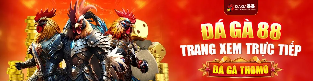 Hình ảnh hero về điều khoản và điều kiện dịch vụ của 868vip1 nhà cái